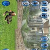 Download Talking Monkey Cell Phone Game